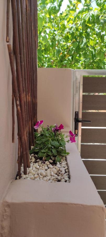 New Apartment 1.5Km From The City Center Of Chania Chania  Exterior foto